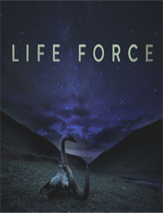 大明悬案录之隐翅篇