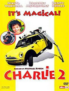 八零老太整顿家门